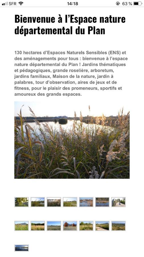 Maison "Les Vignes" Le Pradet Eksteriør bilde